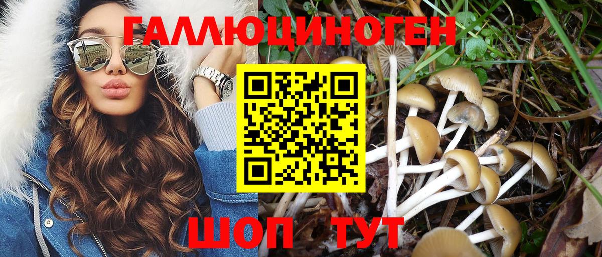 Галлюциногенные грибы прущие грибы  Вход с VPN  Псилоцибиновые грибы Psilocybe  Рязань 