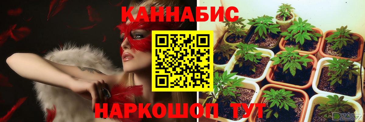 Канабис MAZAR  Вход с VPN  Каннабис ГИДРОПОН  Рязань  МАРИХУАНА гибрид 